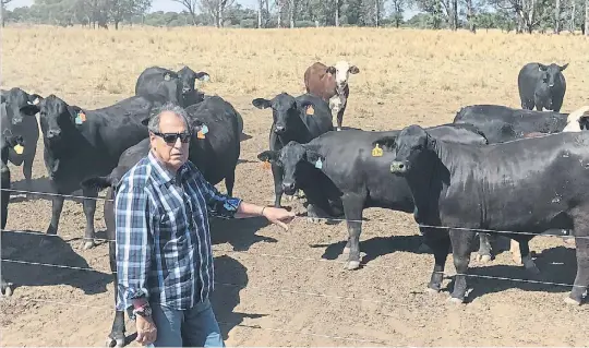  ??  ?? El ojo del amo. Jorge Brito, en Salta, de recorrida por los corrales. Desde el año 1993 invierte para el desarrollo de su campo y la zona.