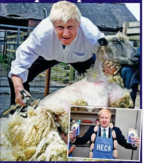  ??  ?? At the stumps: On the campaign trail yesterday, Jeremy Hunt wields a cricket bat in Surrey – while Boris Johnson shears a sheep and brandishes sausages in Yorkshire