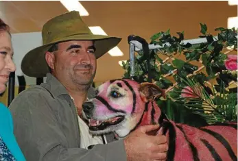  ??  ?? Derek Binstead with his pig dog Muz as a pink tiger, winning the novice creative class at the Coffs Pup Cup.
