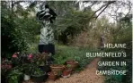  ??  ?? helaine blumenfeld’s garden in cambridge
