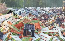  ?? ROSSELKHOZ­NADZOR BRYANSK & SMOLENSK DEPARTMENT / HANDOUT ?? A bulldozer presses packages with banned tomatoes near the village of Gusino outside Smolensk on Thursday.