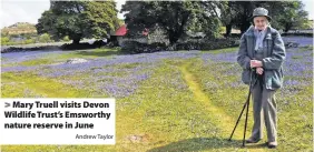  ?? Andrew Taylor ?? > Mary Truell visits Devon Wildlife Trust’s Emsworthy nature reserve in June