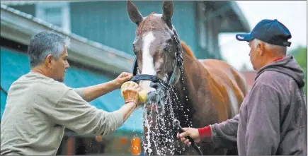  ?? Patrick Semansky ?? Kentucky Derby winner Justify is hosed down Friday outside a barn at Pimlico Race Course in Baltimore. The Associated Press