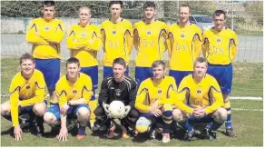  ??  ?? The Senior Wicklow Town WDFL Premier team.