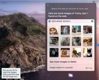  ??  ?? You can use Siri to search for images online and then drag the full image over.