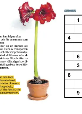  ??  ?? kan man köpa blommor: Blomsterhu­set i Borgå, Henriettas blommor, Porvoon Kukkapalve­lu, S-garden och The Fancy Little Factory – Lilla Blomfabrik­en.