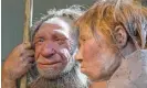  ?? ?? Reconstruc­tions of a Neandertha­l man, left, and woman at the Neandertha­l museum in Mettmann, Germany. Photograph: Martin Meissner/AP