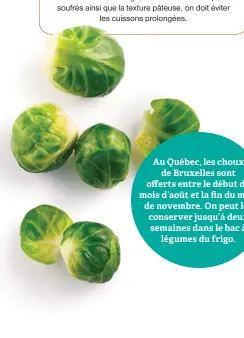  ?? ?? Au Québec, les choux de Bruxelles sont offerts entre le début du mois d'août et la fin du mois de novembre. On peut les conserver jusqu'à deux semaines dans le bac à légumes du frigo.