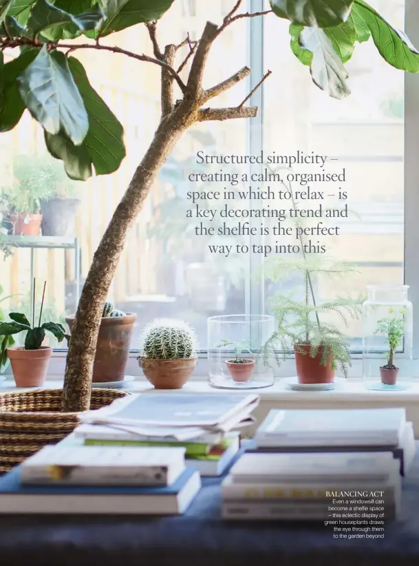  ??  ?? BALANCING ACT
Even a windowsill can become a shelfie space – this eclectic display of green houseplant­s draws the eye through them to the garden beyond