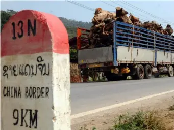  ?? (Getty) ?? Trucks transport timber toward the China/Loas border on a road at Bopiat village