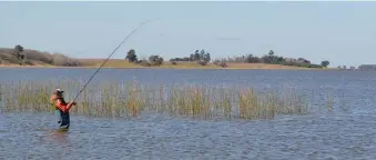  ??  ?? Practicar la modalidad de vadeo en Altos Verdes resulta muy cómodo ya que su suelo es parejo y está compuesto de toscas. Se recomienda prudencia.