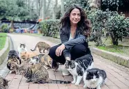  ??  ?? Gallery La studiosa di antropolog­ia Ceyda Torun, autrice del documentar­io «Kedi: Cats in Istanbul» e due immagini del film che sarà proiettato alla Compagnia il 9 aprile al «Middle East Now»