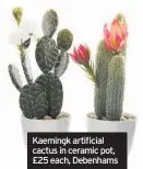  ??  ?? Kaemingk artificial cactus in ceramic pot, £25 each, Debenhams