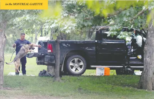  ?? TONY CALDWELL / POSTMEDIA NEWS ?? RCMP officers search a pickup truck at Rideau Hall in Ottawa Thursday, after it plowed through the gate of the official residences for the Governor General and prime minister.
