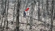  ?? CONTRIBUTE­D ?? Men claim video shows Bigfoot-like creature in Ohio’s Salt Fork State Park.
