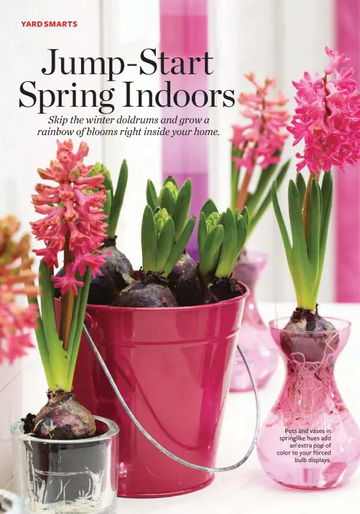  ??  ?? Pots and vases in springlike hues add an extra pop of color to your forced bulb displays.