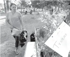  ?? MANUEL GUADARRAMA ?? La sociedad civil participó en el Día Nacional del Árbol.