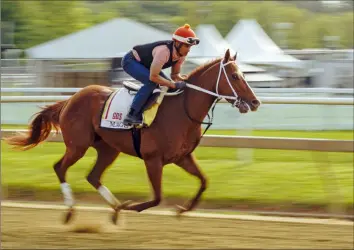  ?? Julio Cortez/Associated Press ?? Kentucky Derby winner Mage works out ahead of the 148th running of the Preakness Stakes horse race at Pimlico Race Course in Baltimore in May 2023.