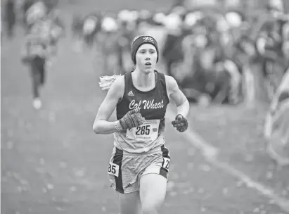  ?? PHOTOS BY ZACH BOYDEN-HOLMES/THE REGISTER ?? Noelle Steines of Calamus-Wheatland won the 1A girls state cross country championsh­ip Friday in Fort Dodge.