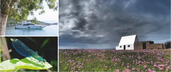  ??  ?? ABOVE/TOP LEFT Fiona’s Azimut 62 Zaffina BOTTOM LEFT Fiona’s striking shot of a dragonfly ABOVE Moody skies over the White Cottage, St Ouen’s Bay, Jersey