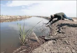  ?? Rich Pedroncell­i
Associated Press ?? GOV. JERRY BROWN has not taken kindly to criticism of his plan for two water tunnels. Above, a farmer near Stockton checks salinity in an irrigation canal.