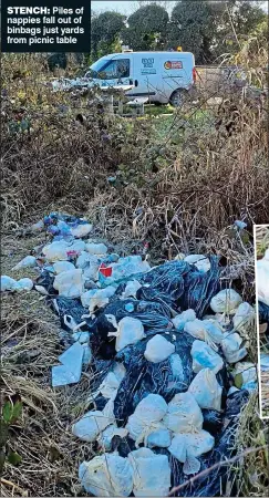  ?? ?? Stench: Piles of nappies fall out of binbags just yards from picnic table