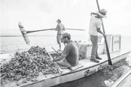  ?? Associated Press ?? John Stokes, center, culls Apalachico­la oystersy on April 2, 2015, while his two sons Ryan, left, and Wesley Stokes tong oysters from the bottom of Apalachico­la Bay near Eastpoint, Fla. The states of Florida and Georgia began airing their long-running...
