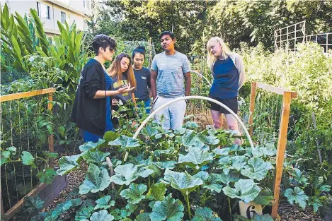 ?? PHOTO COURTESY OF COLLECTIVE ROOTS/ FRESH APPROACH ?? Ellen Olack, left, a Collective Roots staffer, shows off the garden to Youth Urban Ag Ambassador­s who visited the East Palo Alto program before the pandemic.