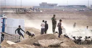  ??  ?? SHAQOULI, Iraq: A peshmerga soldier keeps an eye on some cross-border sheep trading at this Iraqi Kurdish checkpoint on Thursday. — AFP