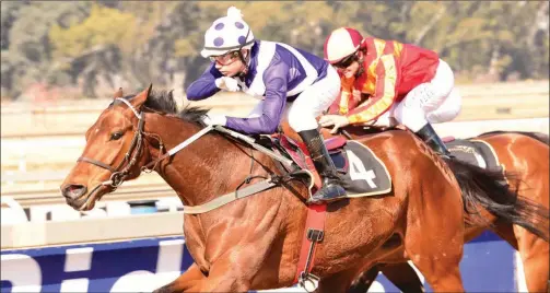  ??  ?? IN FORM: Hidden Agenda won well over 1700m last time and can follow up when he contests Race 7 over 1600m at the Vaal today.