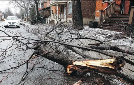  ?? TONY CALDWELL ?? A tree limb lies on a street in Sandy Hill on Tuesday following the ice storm that swept through the region Sunday and Monday.