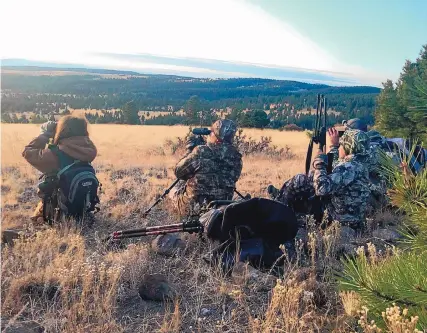  ?? COURTESY OF JAMES DOMINGUEZ AND NEW MEXICO DEPARTMENT OF GAME FISH ?? From left, Aidric Dominguez, Eric Frey, Lauren Patten and Kirk Patten scout for prey southwest of San Antonio Mountains. Scouting is one of the keys to a successful hunt.