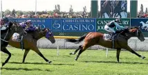  ?? PHOTO: RACE IMAGES ?? Sam Wynne rides Son Of Maher to victory at Riccarton on Saturday.