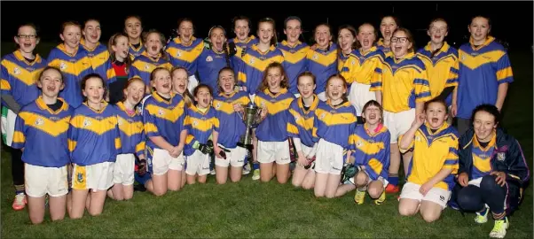  ??  ?? The Taghmon girls celebratin­g after winning the ‘A’ title for the first time ever.