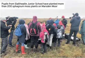  ??  ?? Pupils from Slaithwait­e Junior School have planted more than 200 sphagnum moss plants on Marsden Moor