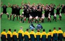  ??  ?? The All Blacks perform the haka before the start of the Bledisloe Cup Test in Wellington. Photograph: Marty Melville/AFP/ Getty Images