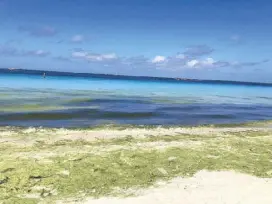  ??  ?? Boracay before its rehabilita­tion. It will reopen on Oct. 26.