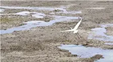  ?? K BHAGYA PRAKASH ?? SOUTH UNDER STRESS. A dried up Tavarekere lake at Keregodu village of Karnataka. Almost all Southern States saw a rainfall deficiency during the period, says IMD