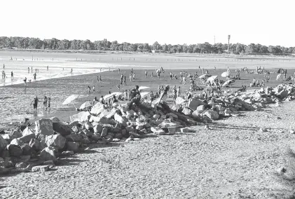  ?? ARCHIVO AGENCIA PUNTA ALTA ?? En la última actividad se recolectar­on más de 1.400 botellas, además de vidrios y cartones. La tarea de limpieza no cesa.