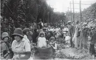  ?? ?? Hop picking as it was in 1923 with whole families involved; hops would be emptied into huge baskets after being picked