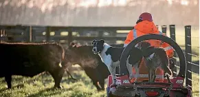  ??  ?? Consider a roll bar for extra safety on your quad bike.