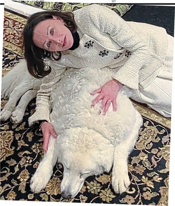  ?? ?? Devotion: Writer Barbara Amiel won’t leave the side of Arpad, her beloved Kuvasz whose health is declining