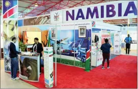  ??  ?? ALL SYSTEMS GO . . . Namibia is one of the countries exhibiting at this year edition of ZITF. The picture taken yesterday shows a client at the stand. — Picture by Eliah Saushoma