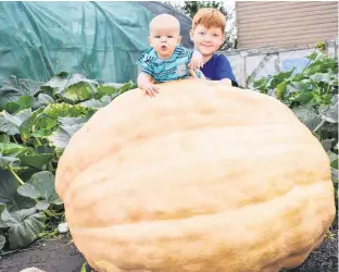  ?? ADAM MACINNIS/THE NEWS ?? Tom Dudka’s grandchild­ren, Castiel and Ira pose with one of the Linacy farmer’s pumpkins which he believes has already surpassed the 1,000-pound mark with several weeks to go before it’s done growing.