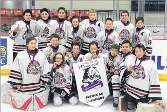  ?? SUBMITTED ?? The Peewee AA Crushers won the KFC – Mike Schmitt Tournament in Truro during the holiday break.