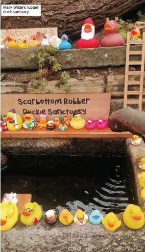  ??  ?? Mark Wilde’s rubber duck santuary