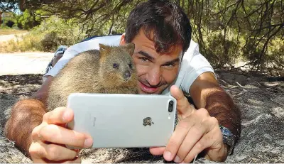  ??  ?? Incontri Roger Federer, 36 anni, scatta un selfie in spiaggia insieme a un quokka, marsupiale tipico dell’Australia (Getty Images)