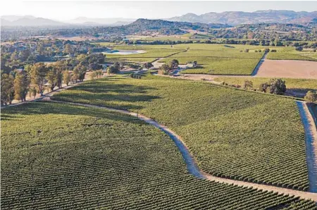  ?? CHRIS LESCHINSKY PHOTO ?? The Nathan Coombs Estate Vineyard in Coombsvill­e, Calif., is Napa Valley’s newest subregion. Winemaker Paul Hobbs’ latest high-end Napa cabernet sauvignon goes for about $400 per bottle, and other cabernet sauvignon from the region is even more expensive.