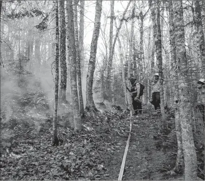  ?? SUBMITTED PHOTO/PARKS CANADA ?? A prescribed burn was tried this week in the Cape Breton Highlands National Park to spur growth of some forest trees. Firefighte­rs are shown on Tuesday near the lower part of the prescribed fire area.