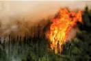  ?? Noah Berger/AP ?? Part of the huge wildfire at Donnie Creek, British Colombia, in July this year. Photograph: